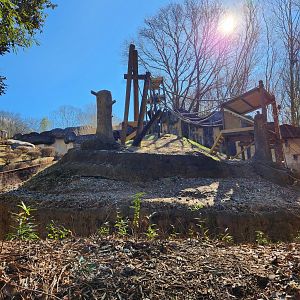 Zoo Atlanta (2023) - Orangutan exhibit