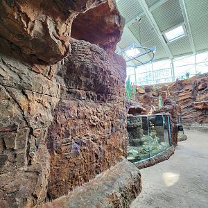 Zoo Atlanta (2023) - Reptile house interior (SSS)