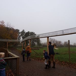 Scottish wildcat overhead tunnels (3)