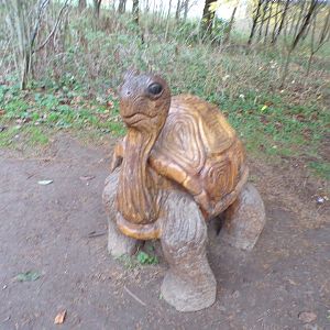 Tortoise sculpture