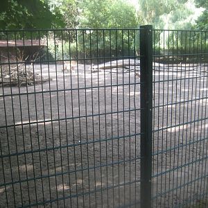 Berlin Tierpark - Persian fallow deer exhibit