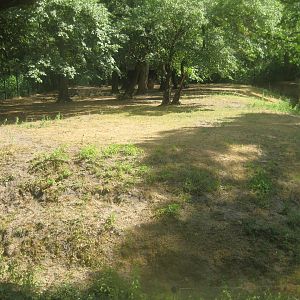 Berlin Tierpark - Kangaroo exhibit