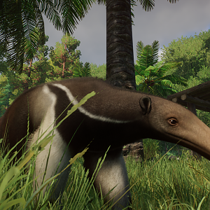 Planet Zoo - Giant Anteater