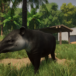 Planet Zoo - Baird's Tapir