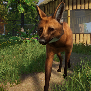 Planet Zoo - Maned Wolf