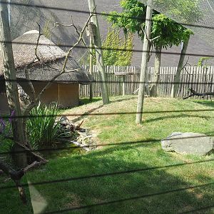 Secretary bird, Vulturine guineafowl, European roller and Emin's turaco aviary, 2022-07-16