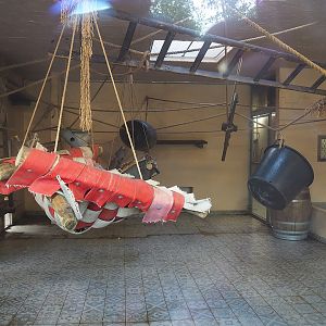 Indoor exhibit for Barbary macaques, 2022-07-16