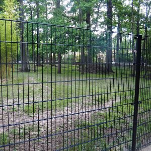 Mountain bongo and Kirk's dik-dik paddock with new fencing, 2022-07-16