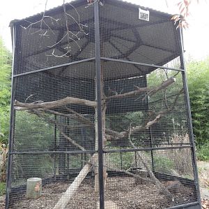 Empty Exhibit - Former Owl - Future Toucan