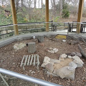 Domestic Rabbit Exhibit in Gazebo
