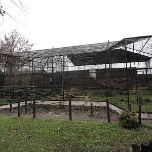 Empty Exhibits - Former Coyote