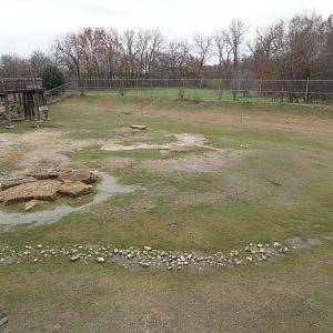 Dromedary & Spotted Donkey Exhibit