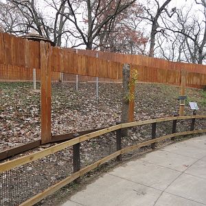 Reeves' Muntjac Exhibit