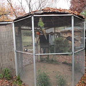 Military Macaw Exhibit