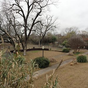 View from Zoo Entrance Building toward Alpaca & Greater Rhea Exhibit