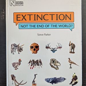 Extinction: Not The End of The World?