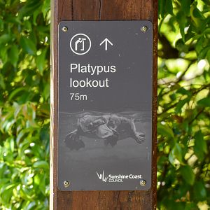 Platypus this way!