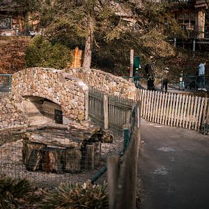 Bridge between the nutria and raccoon enclosure