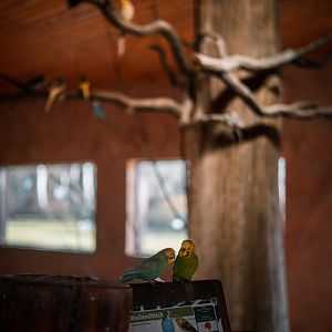 Inside the Australia house