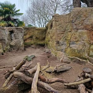 Black-tailed Prairie Dog exhibit