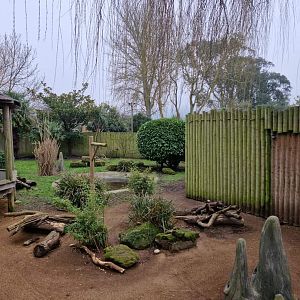 Giant Anteater/Azara’s Agouti exhibit