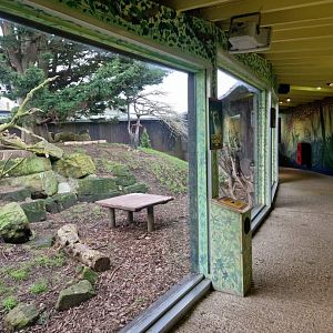 Squirrel monkey exhibit