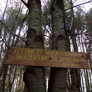 Sign in fairy garden