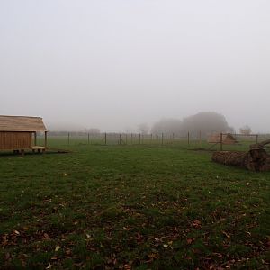 Second hog deer enclosure
