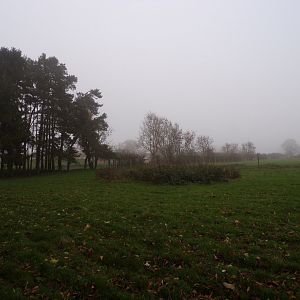 Second hog deer enclosure (2)