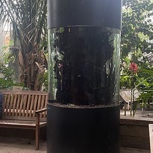 Tropical Encounters - Tropical Reef Tank