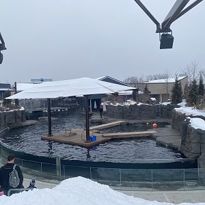 Como Harbour - Main Exhibit