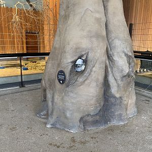 Zebra Building - African Spiny Mice Exhibit