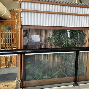 Zebra Building - Chameleon(?) Exhibit