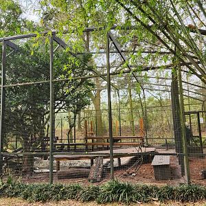 Santa Fe College Zoo (2023) - Oriental Small-clawed Otter exhibit