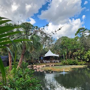 Brevard Zoo (2023) - Flamingo pond