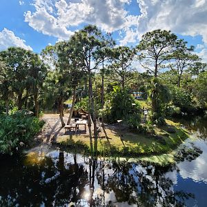 Brevard Zoo (2023) - Lemur exhibit (Expedition Africa)