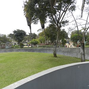 Hippo exhibit I - Parque de Las Leyendas