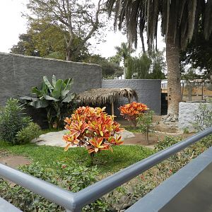 Red-footed tortoise exhibit - Parque de Las Leyendas