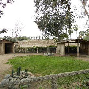 Galapagos giant tortoise exhibit - Parque de Las Leyendas