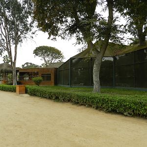 Exotic birds paradise - Parque de Las Leyendas