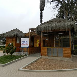 Exotic birds paradise - Parque de Las Leyendas