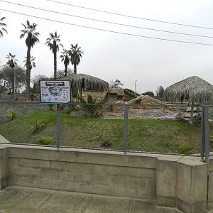Hamadryas baboon exhibit - Parque de Las Leyendas