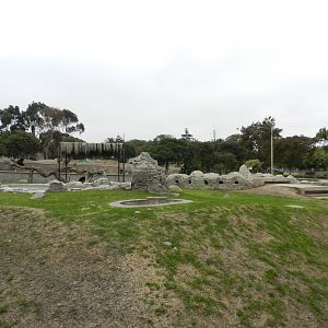 Spectacled bear exhibit I - Parque de Las Leyendas
