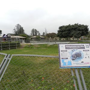 Hippo exhibit II - Parque de Las Leyendas