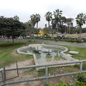 Hippo exhibit II - Parque de Las Leyendas