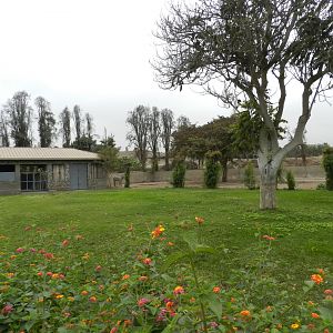 Grant's zebra exhibit - Parque de Las Leyendas