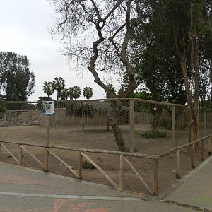 Ostrich exhibit - Parque de Las Leyendas