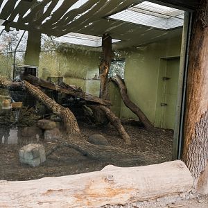 First Tiger indoor areas