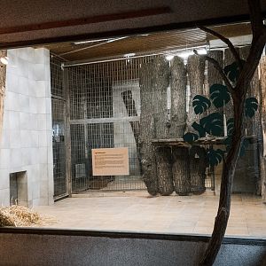 Second Tiger inoor area