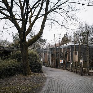 Lion-tailed Macaque outdoor cages